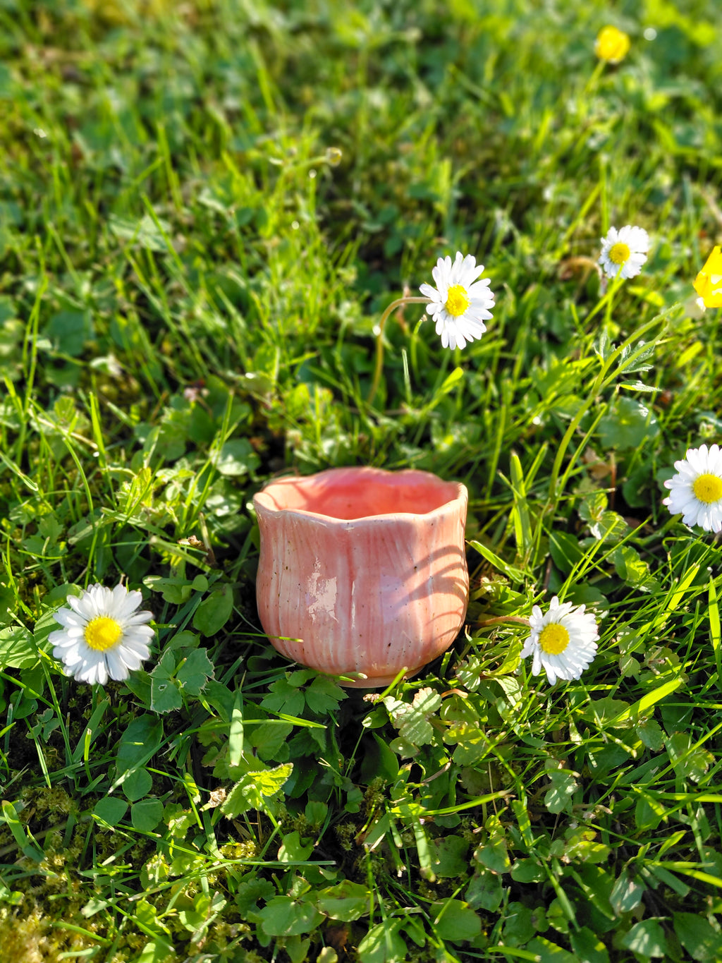 Tasses expresso fleuries 🌿