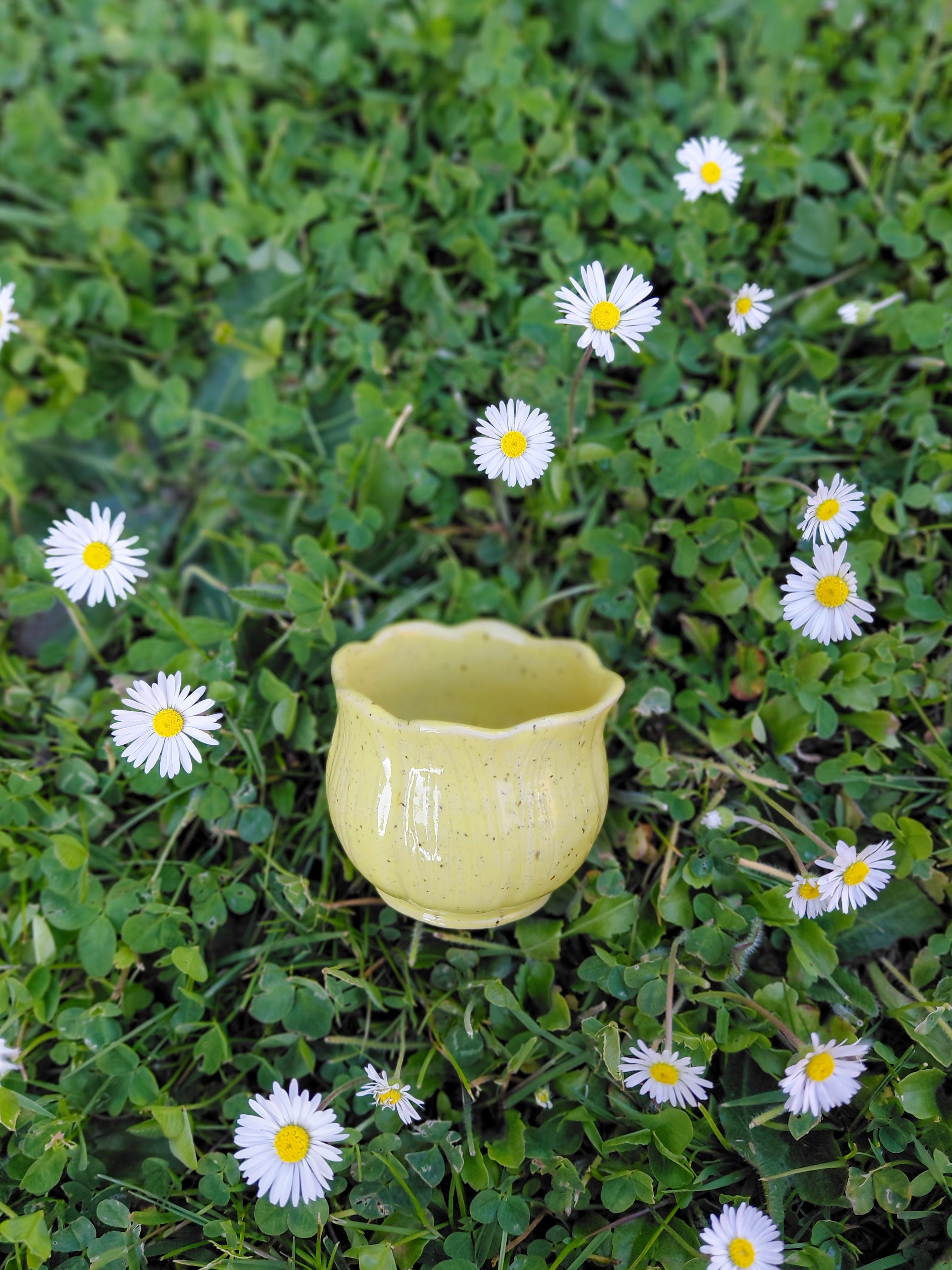 Tasses expresso fleuries 🌿