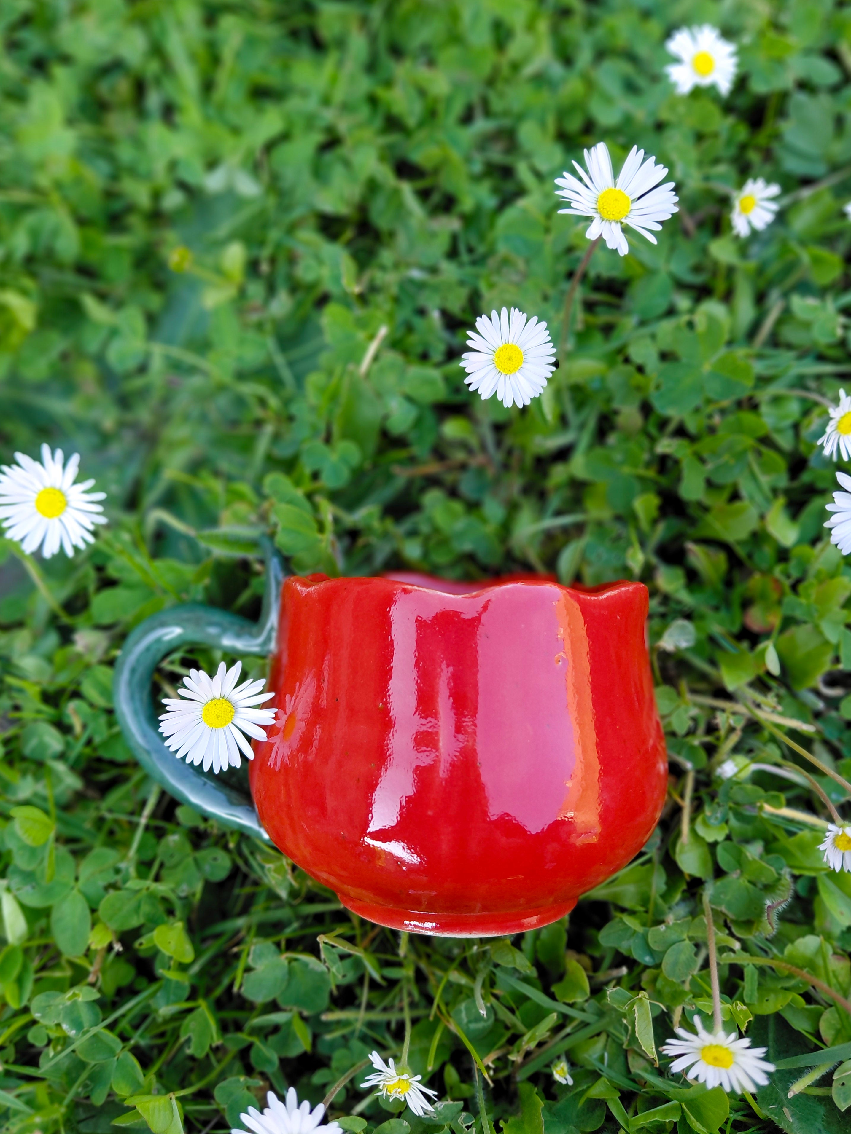 Tasse fleurie rouge 🌹