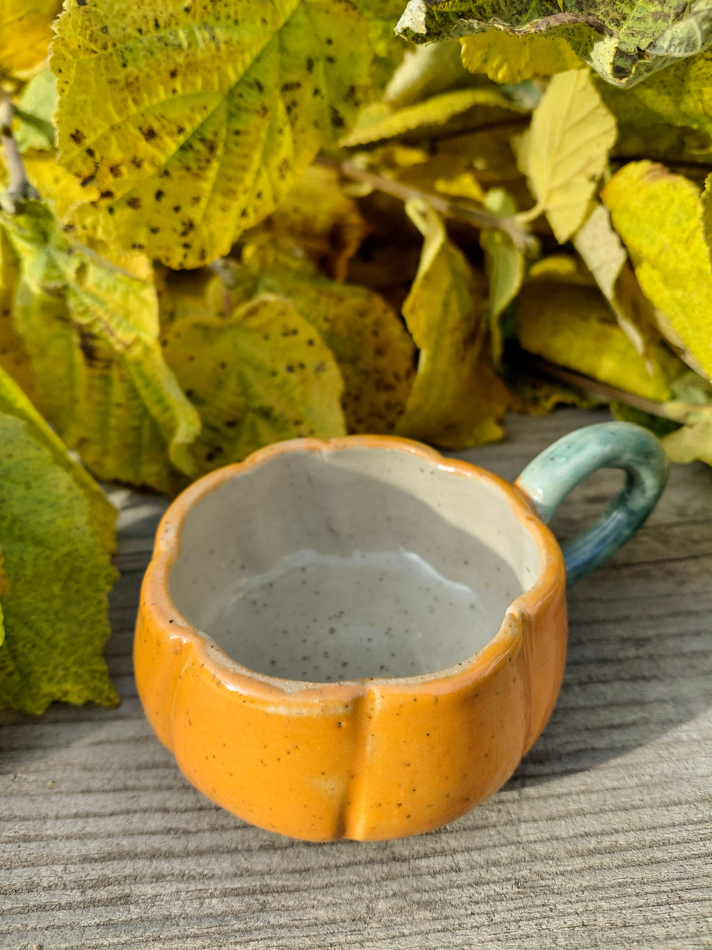 Tasses courge expresso avec anse