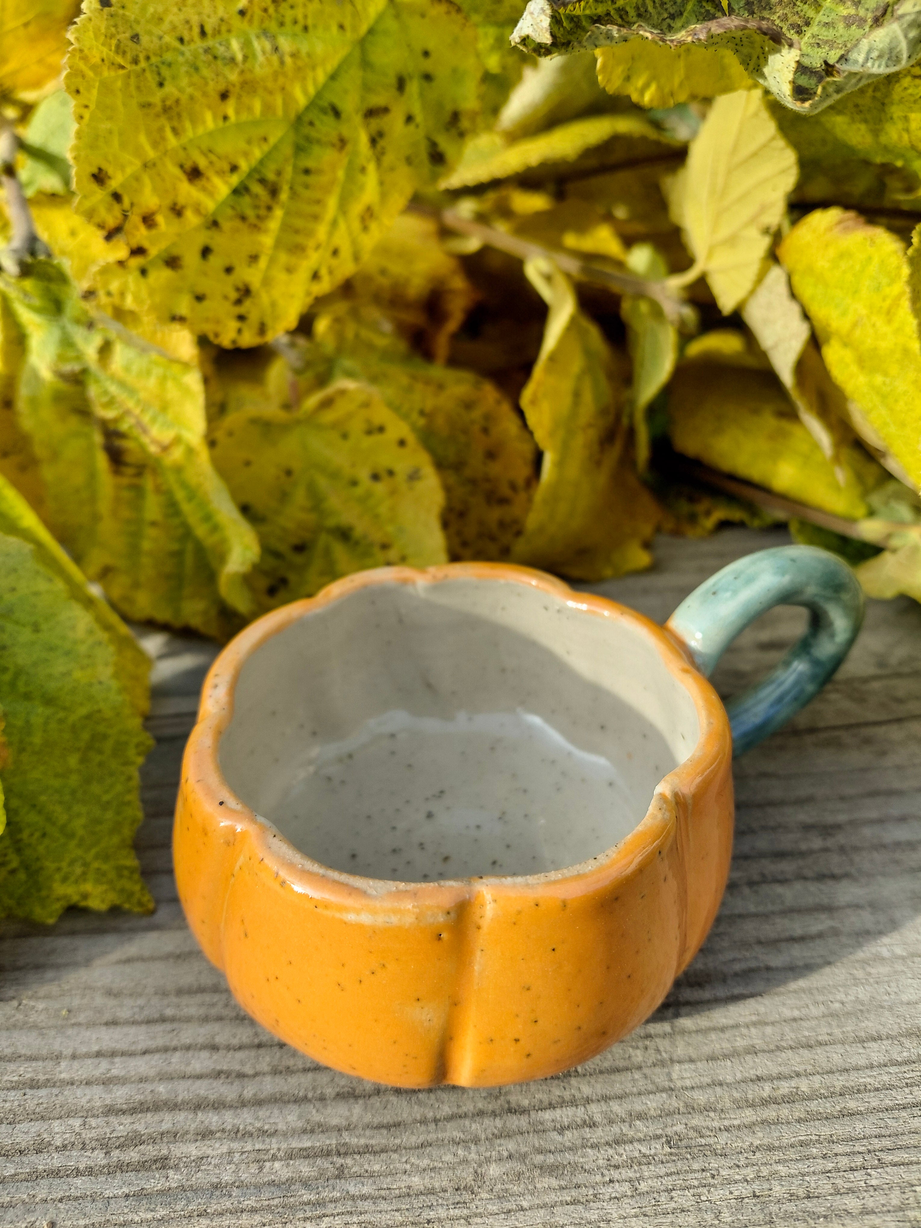 Tasses courge expresso avec anse