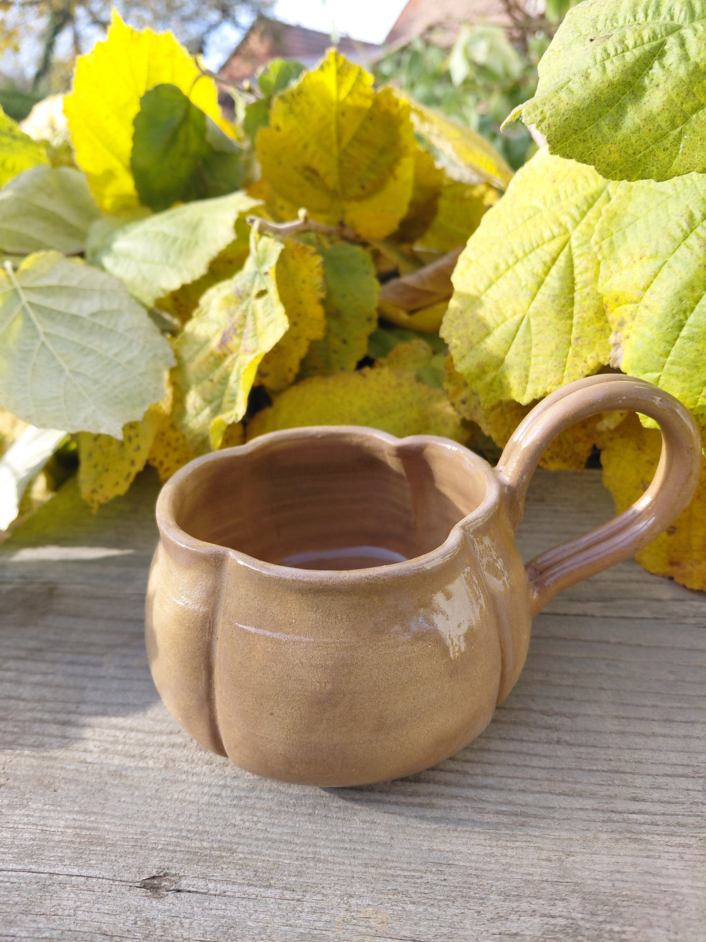 Tasses citrouille marron