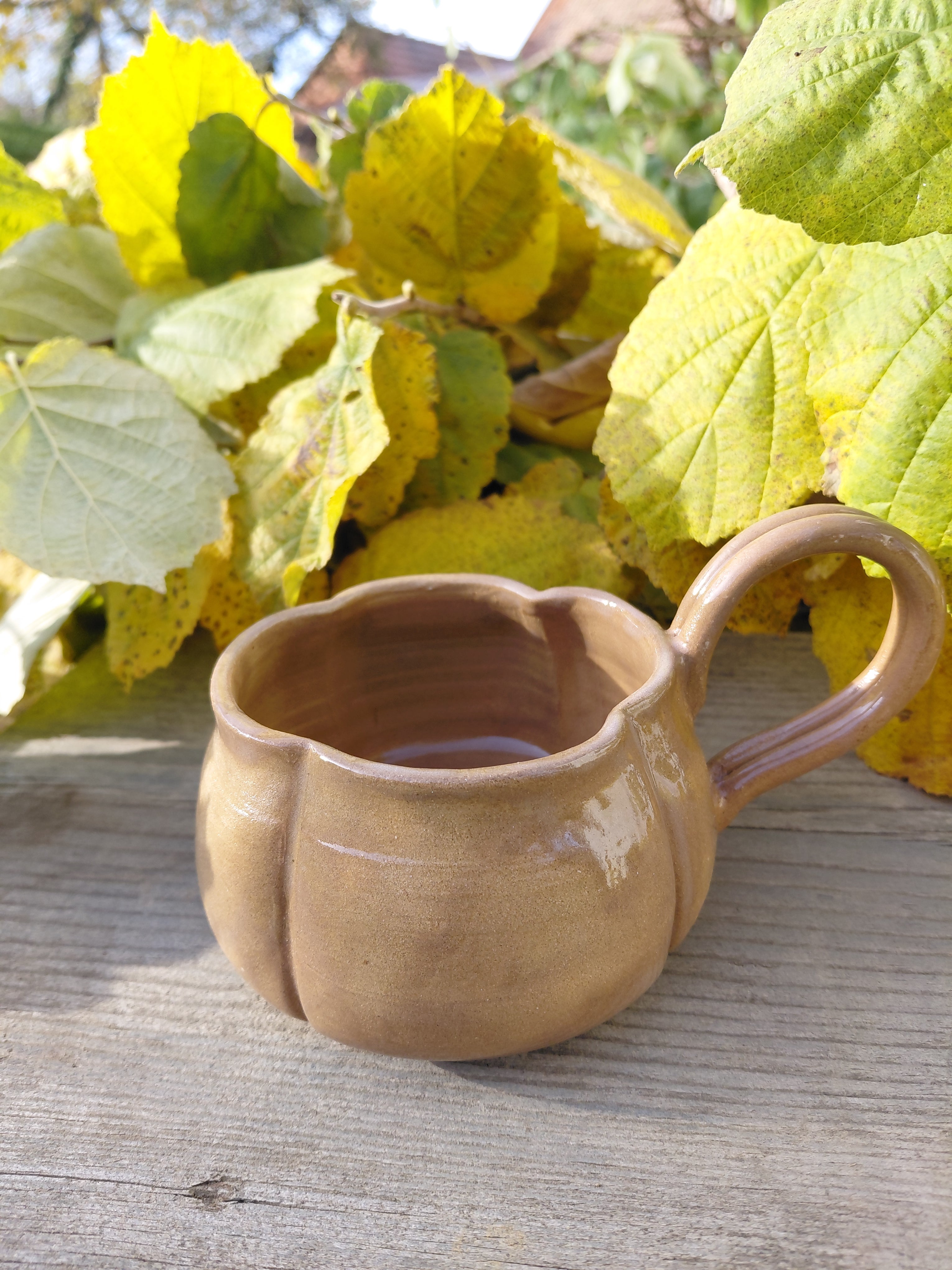 Tasses citrouille marron