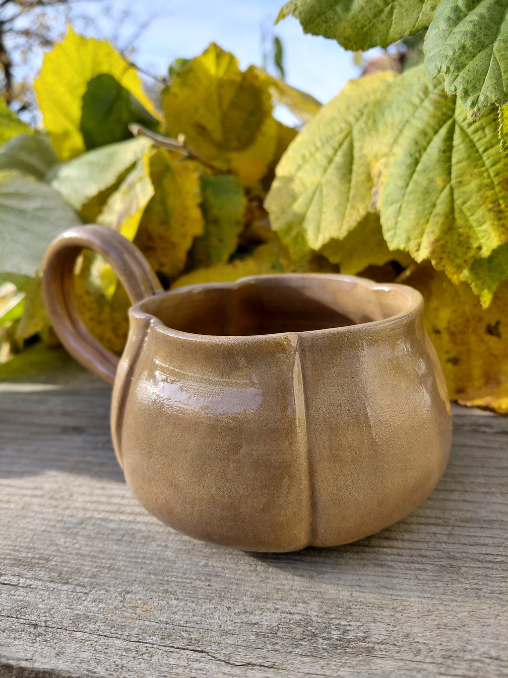 Tasses citrouille marron