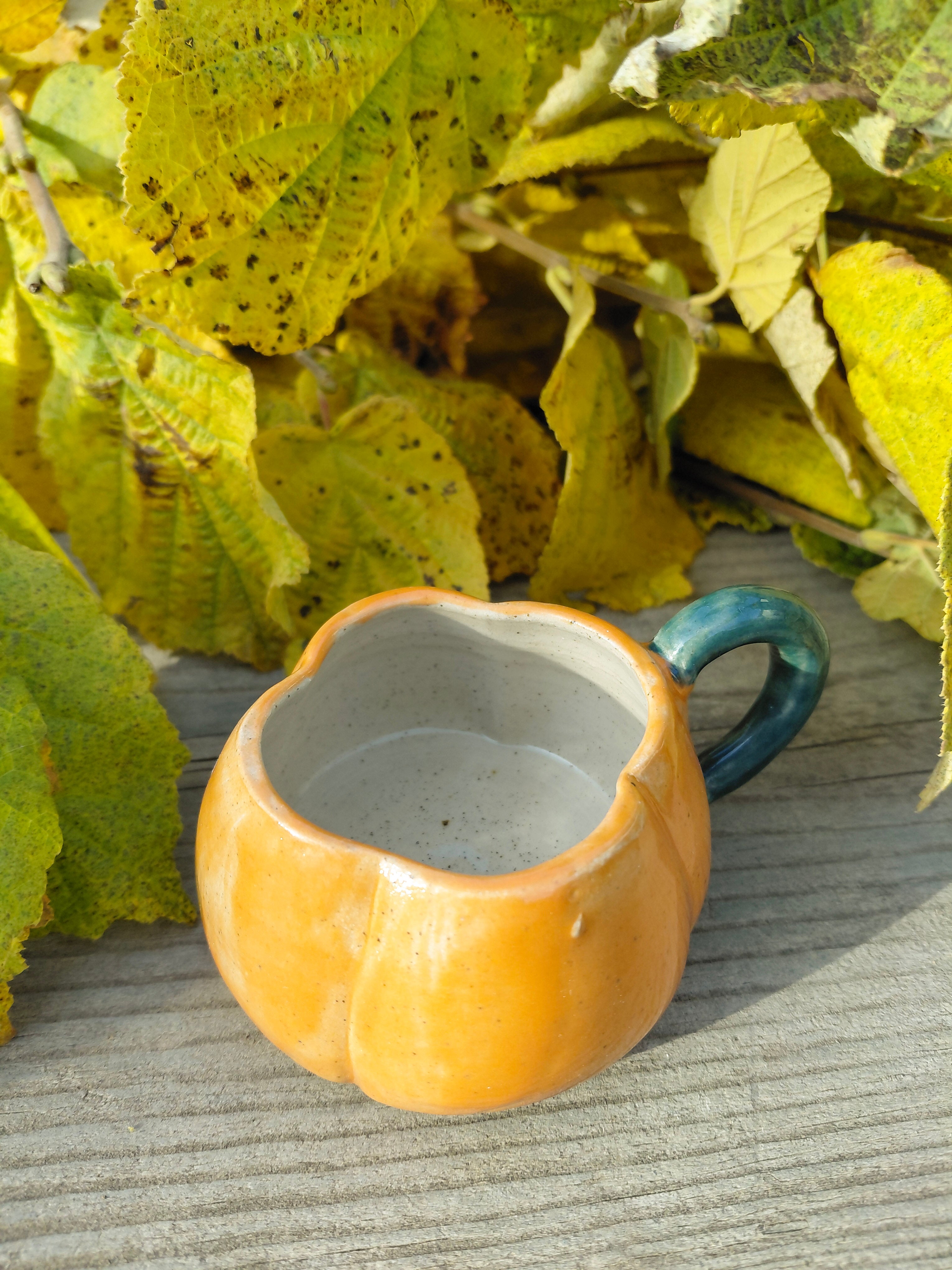 Tasses courge expresso avec anse