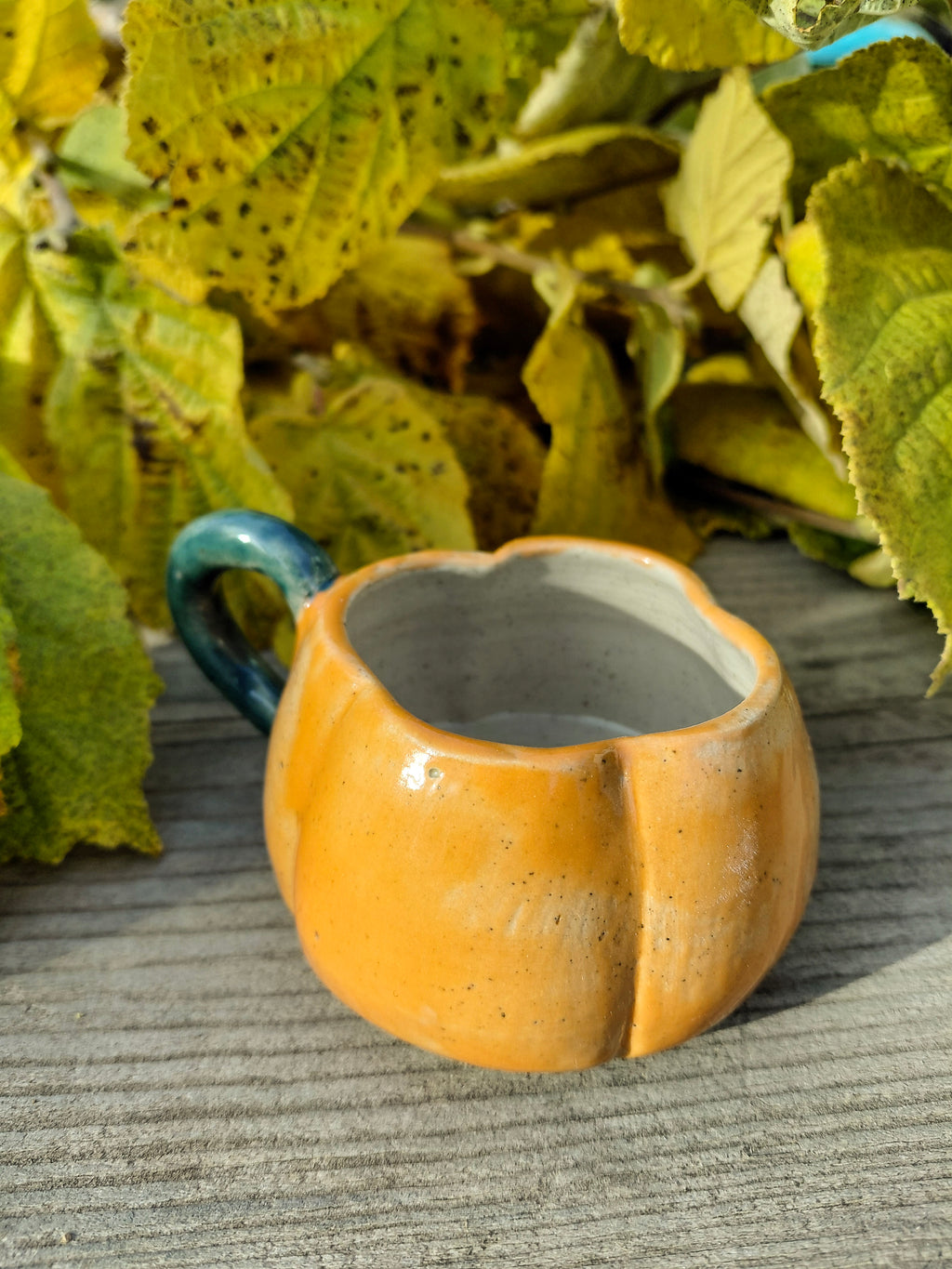 Tasses courge expresso avec anse