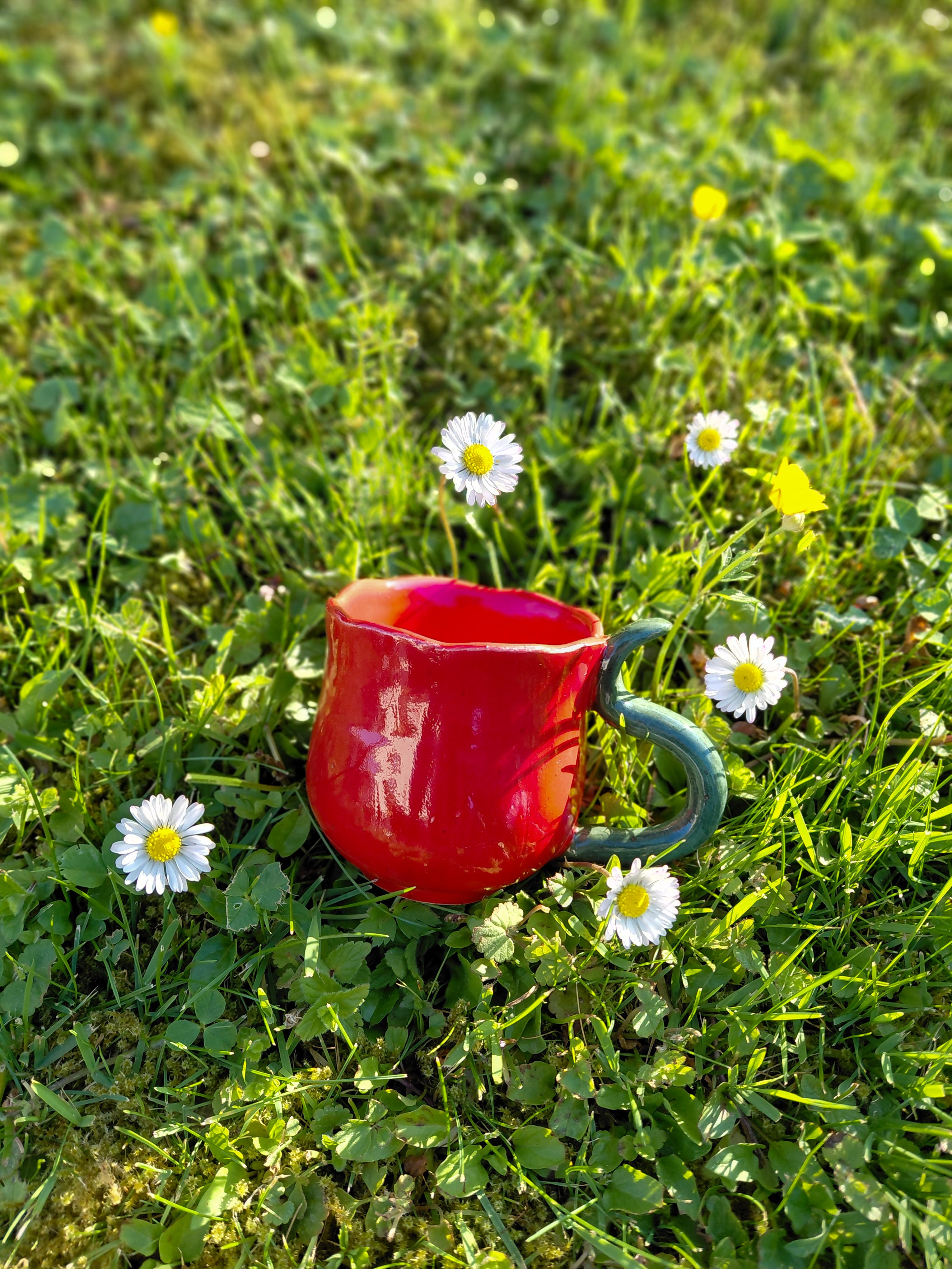Tasse fleurie rouge 🌹