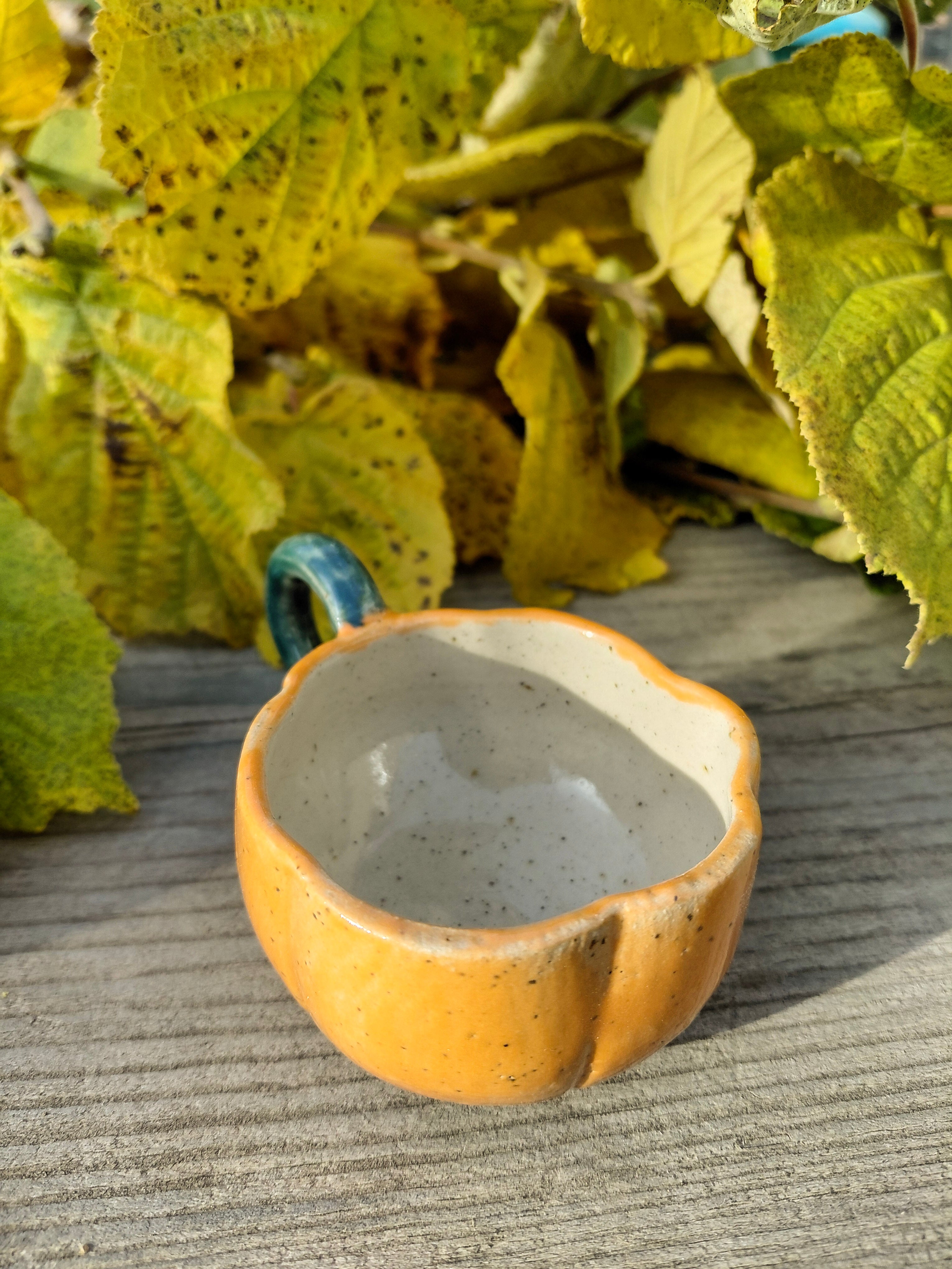 Tasses courge expresso avec anse