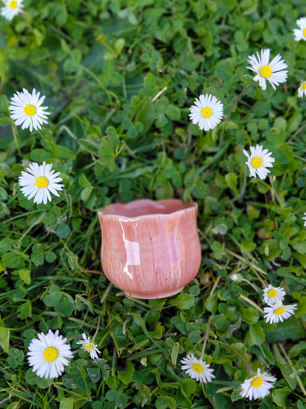 Tasses expresso fleuries 🌿