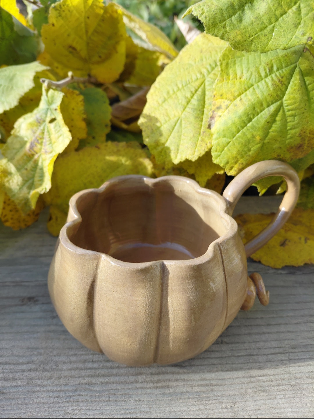 Tasses citrouille marron