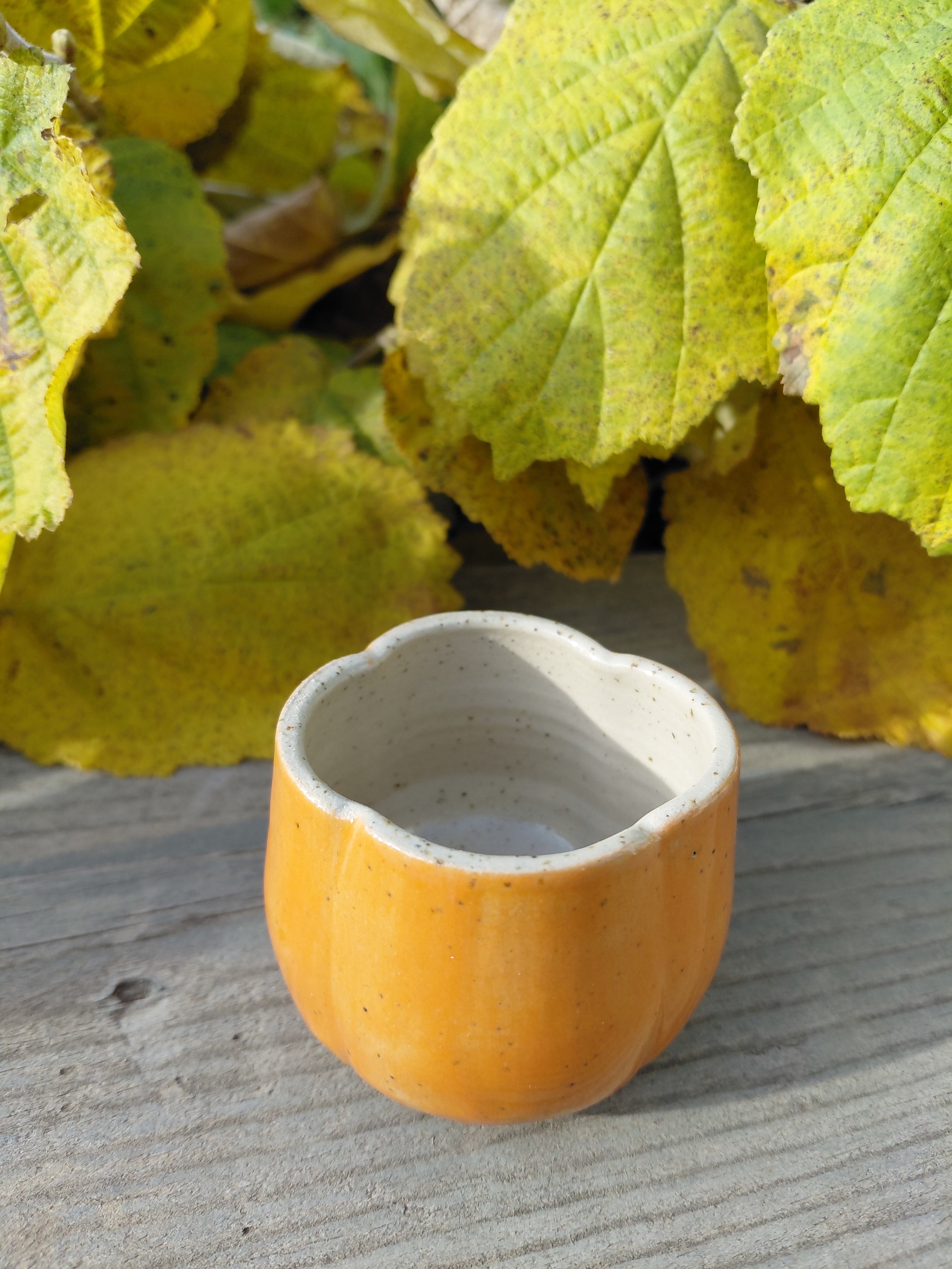 Tasses courge expresso sans anse