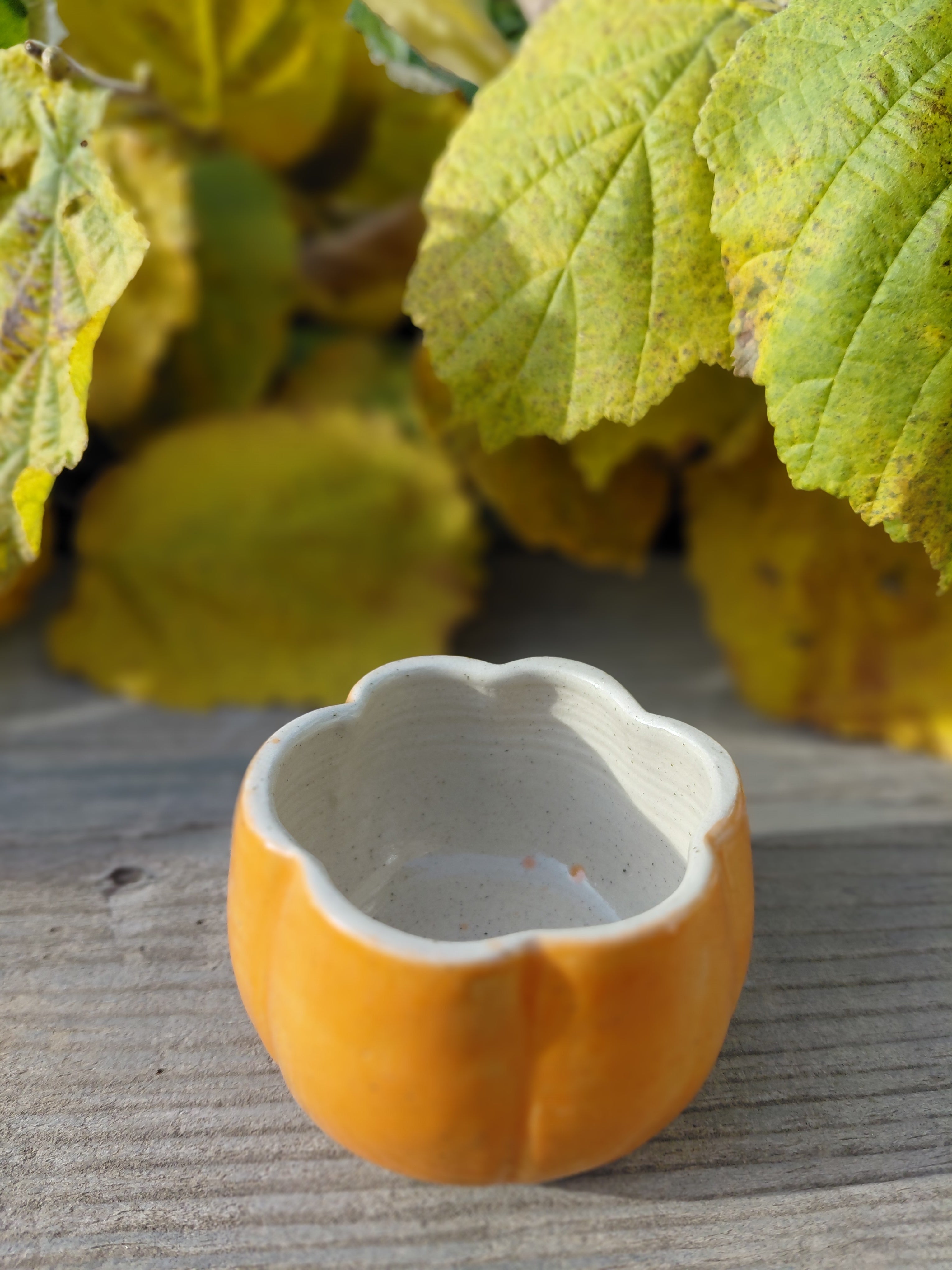 Tasses courge expresso sans anse