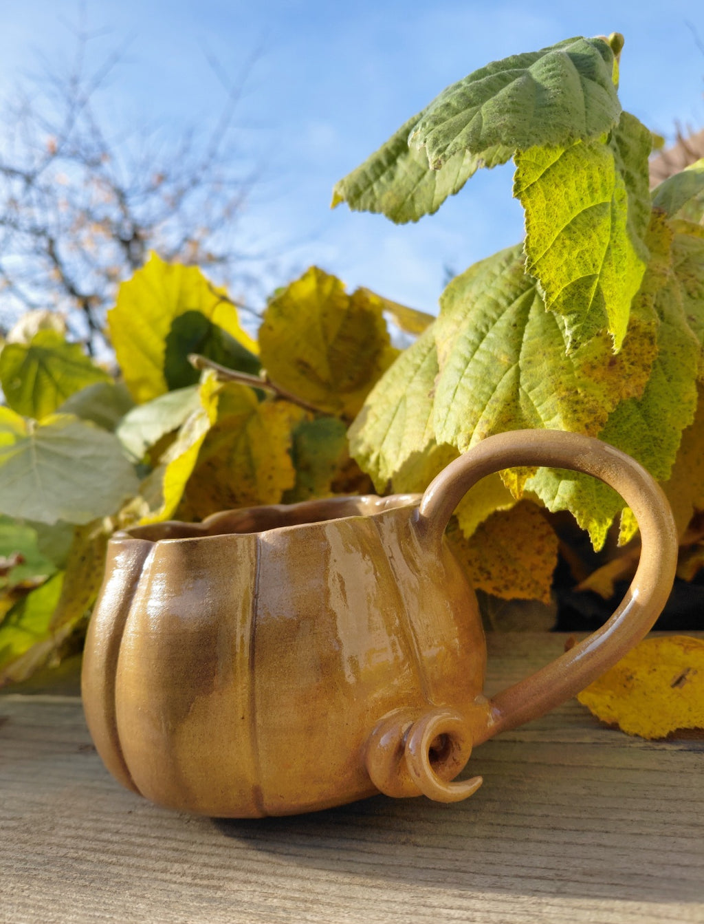 Tasses citrouille marron