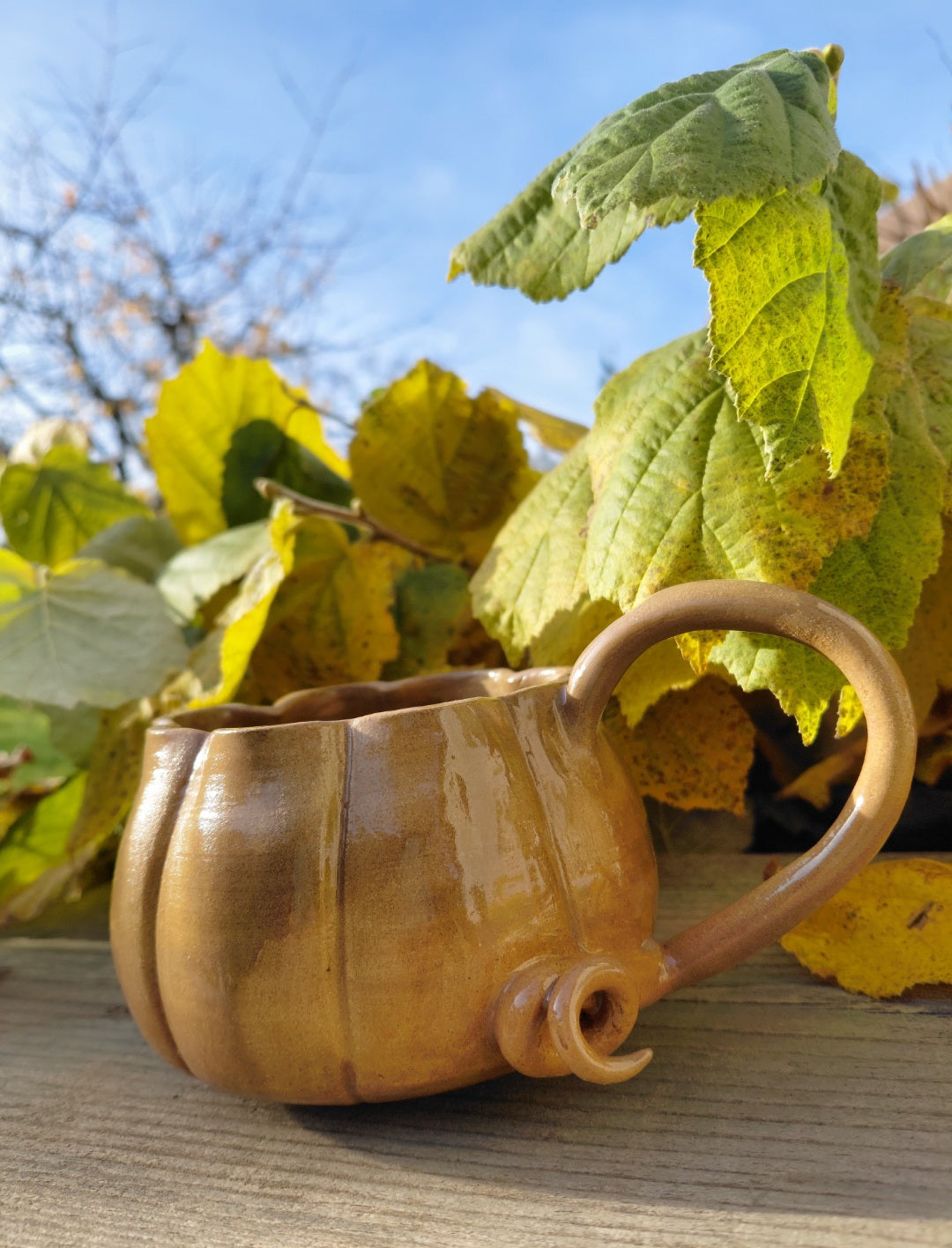 Tasses citrouille marron