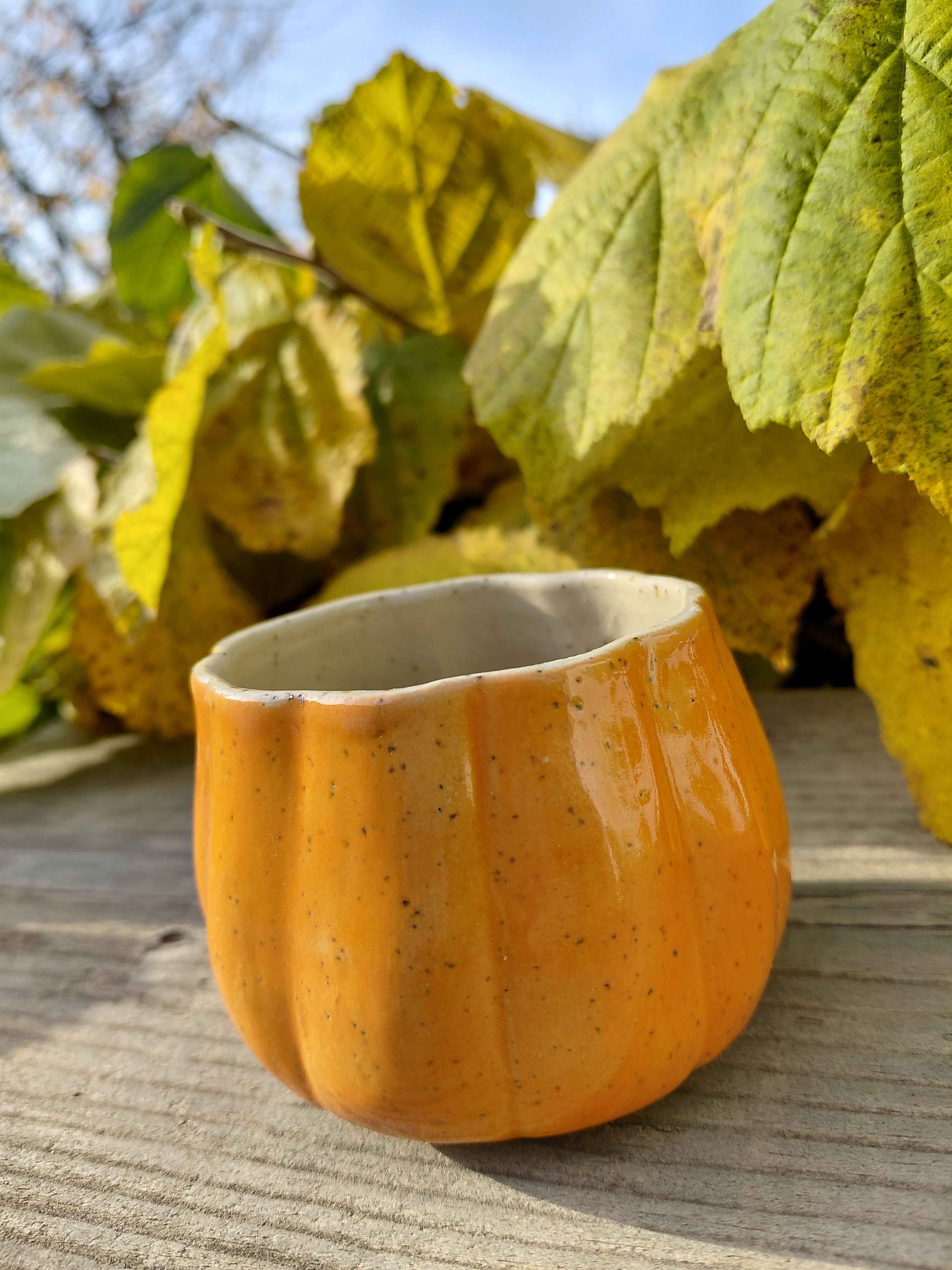 Tasses courge expresso sans anse