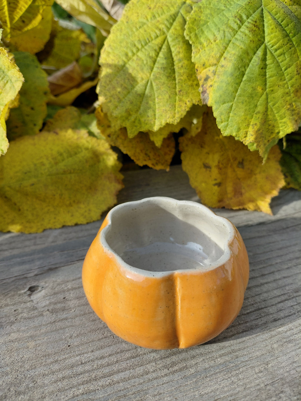 Tasses courge expresso sans anse