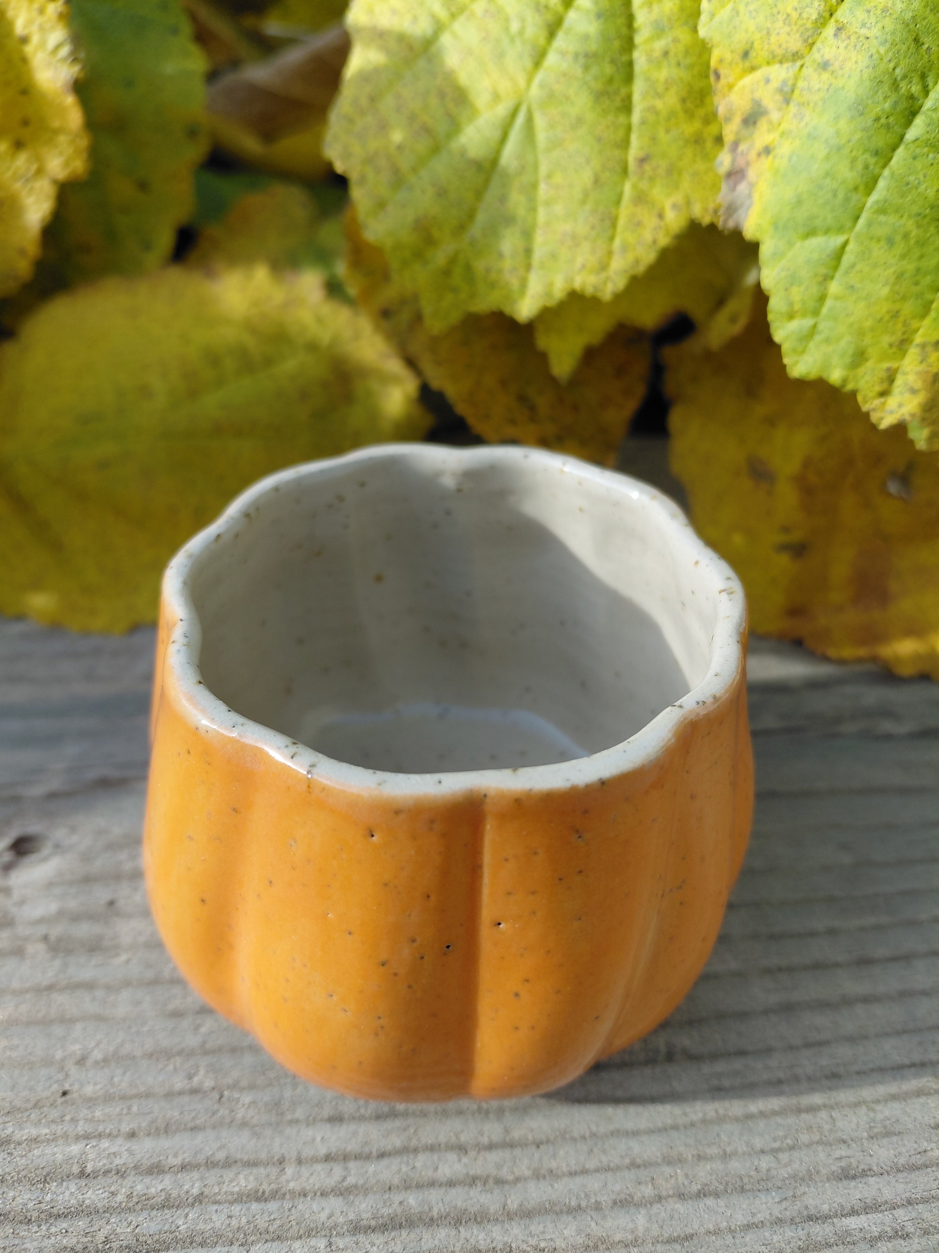 Tasses courge expresso sans anse