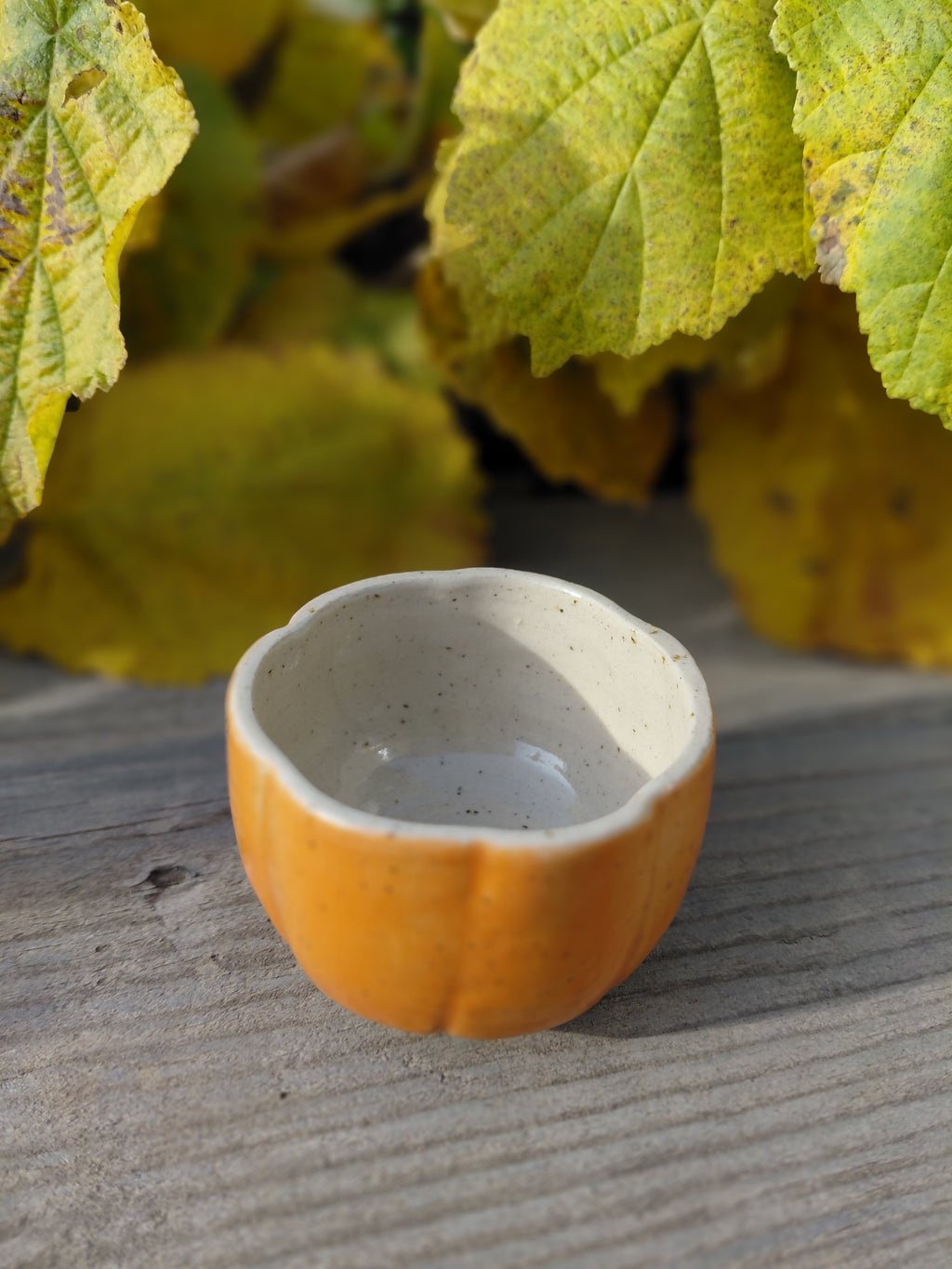 Tasses courge expresso sans anse