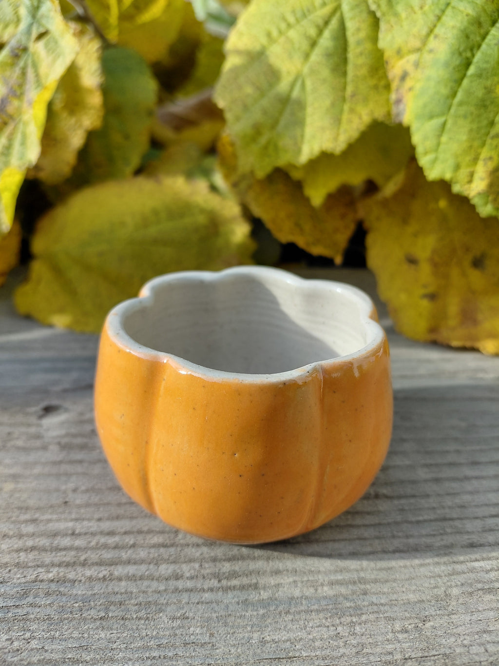 Tasses courge expresso sans anse