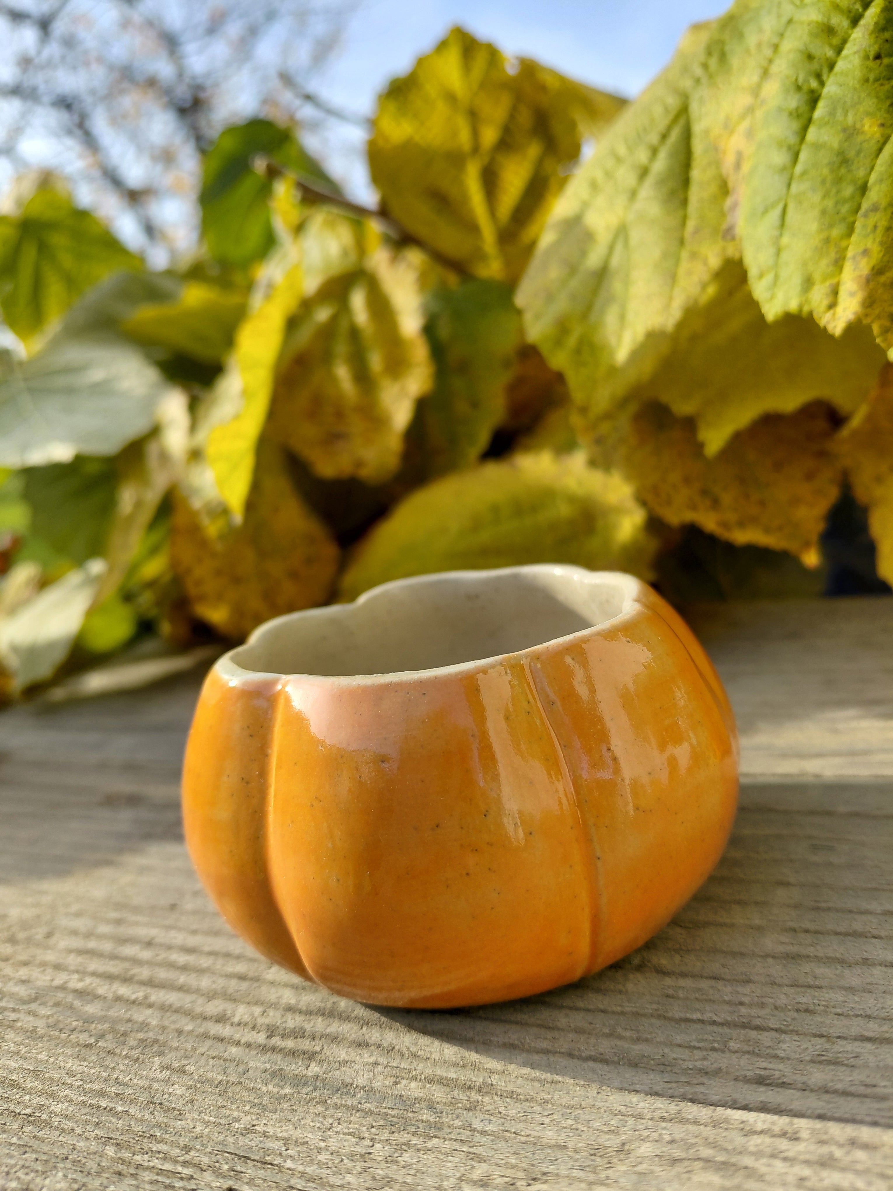 Tasses courge expresso sans anse