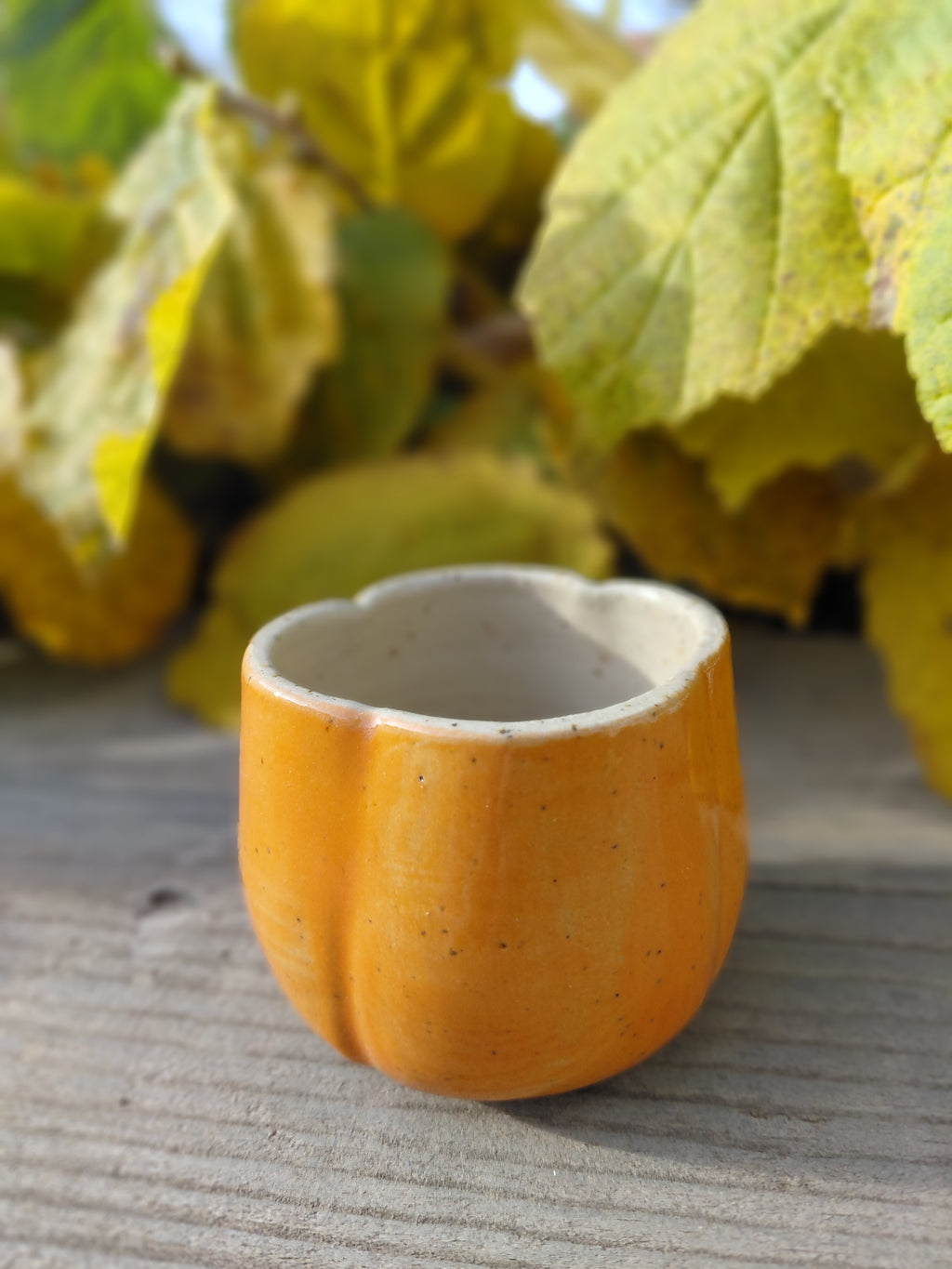 Tasses courge expresso sans anse