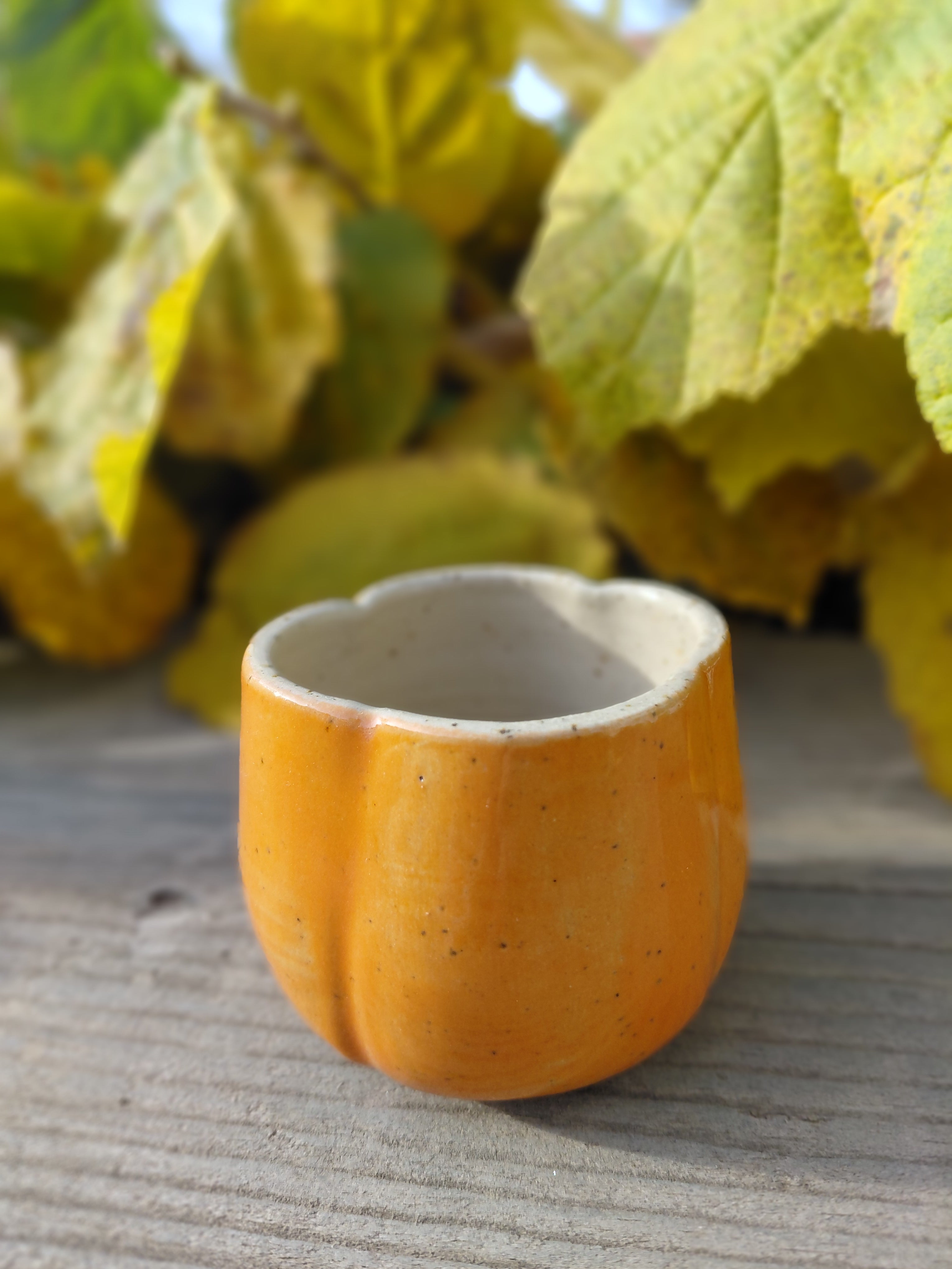 Tasses courge expresso sans anse