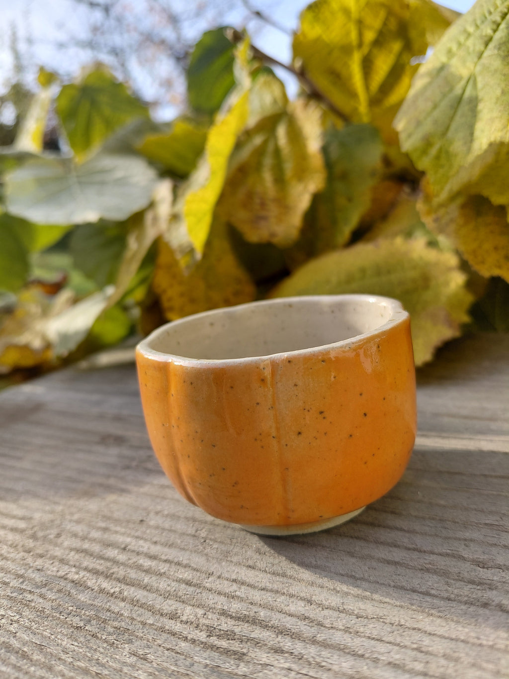 Tasses courge expresso sans anse